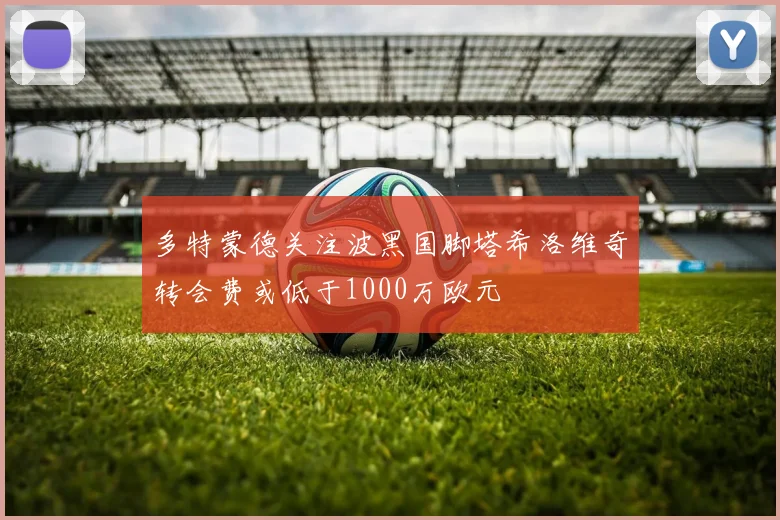 多特蒙德关注波黑国脚塔希洛维奇转会费或低于1000万欧元