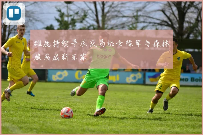 雄鹿持续寻求交易机会绿军与森林狼或成新东家