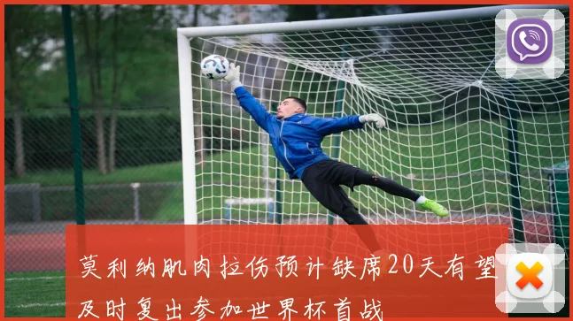 莫利纳肌肉拉伤预计缺席20天有望及时复出参加世界杯首战