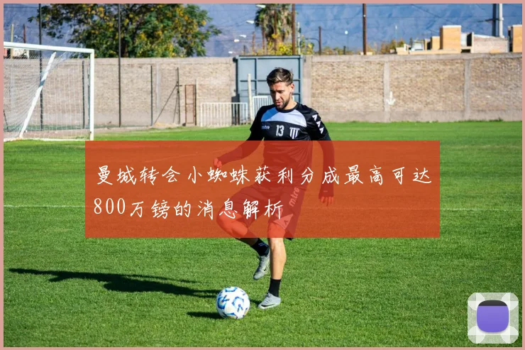 曼城转会小蜘蛛获利分成最高可达800万镑的消息解析